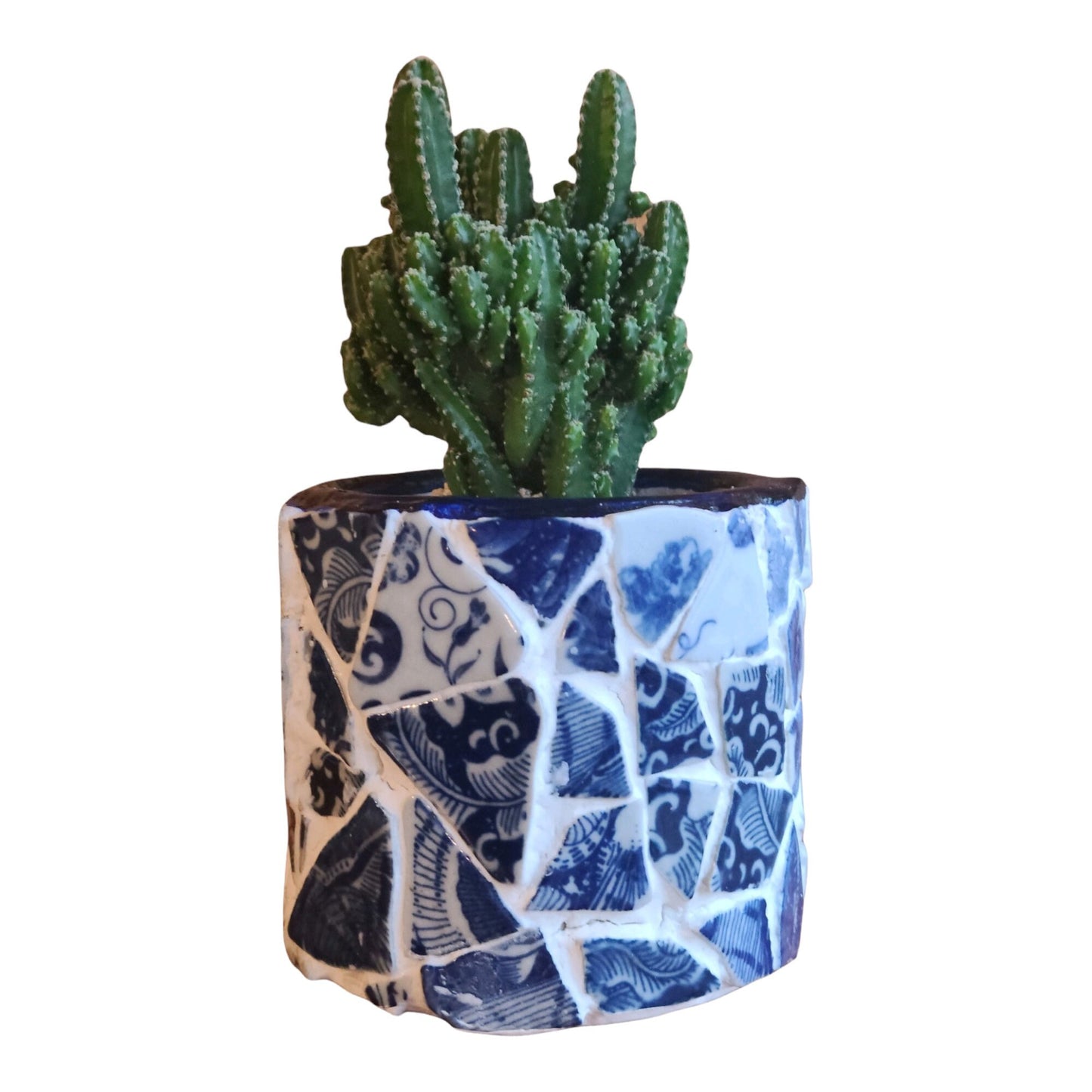 Indoor Garden Decor / Free Shipping