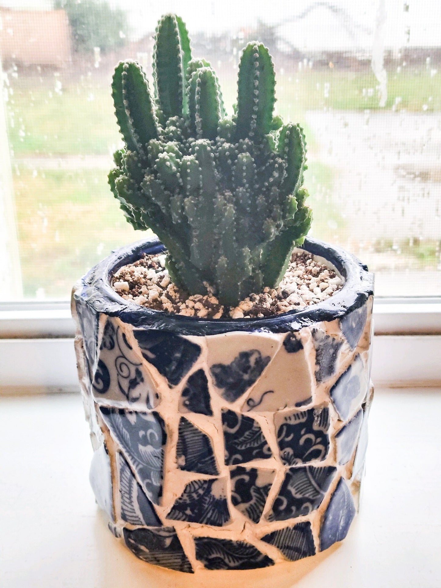 Indoor Garden Decor / Free Shipping