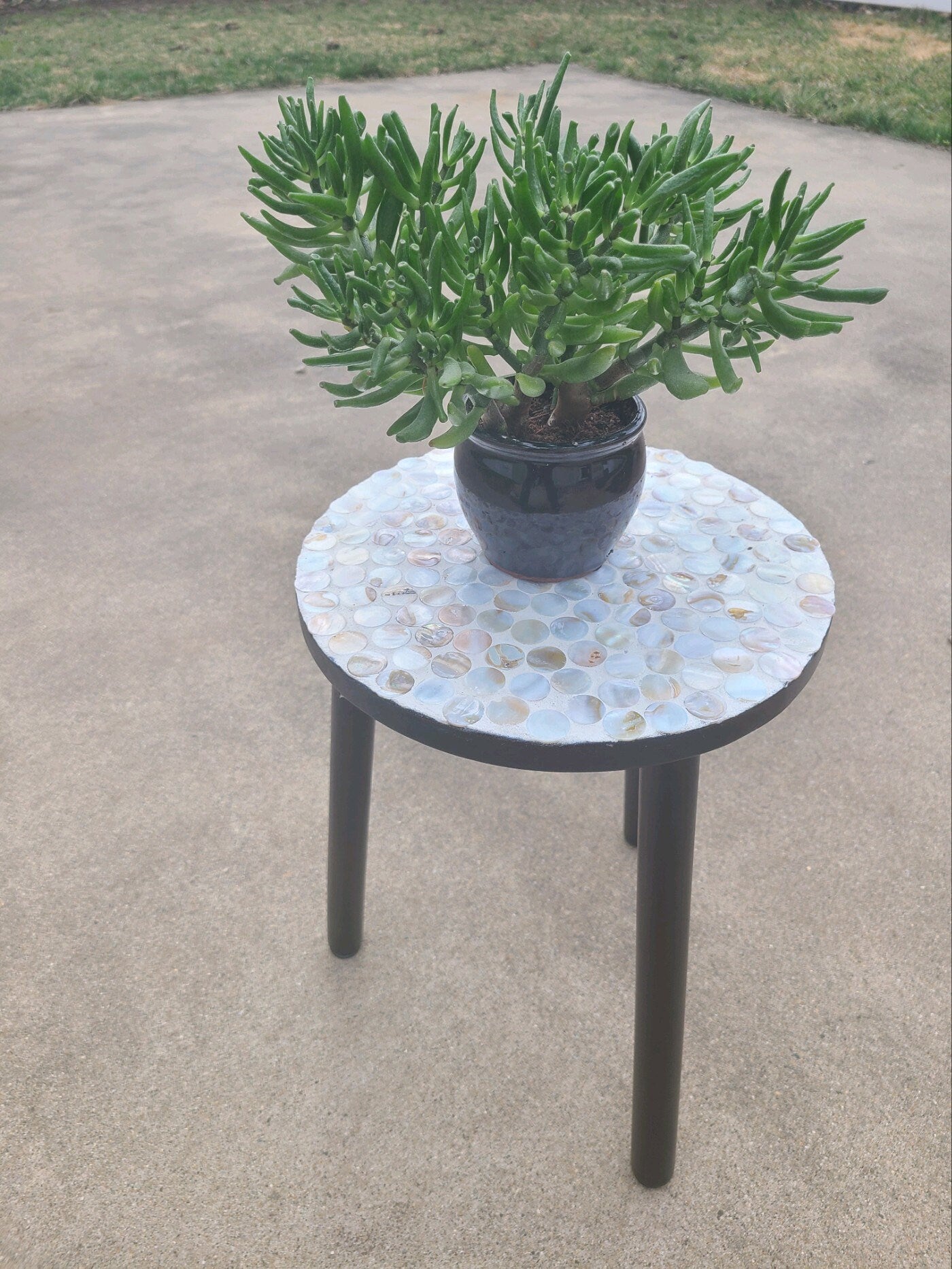 Plant Lovers Tall Standing Plant Stand / Free Shipping