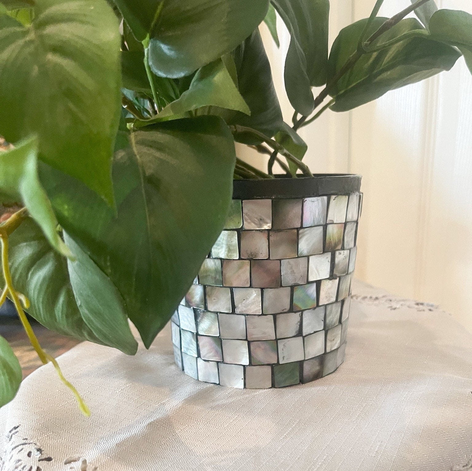 Plant Lovers Mother Of Pearl Planter