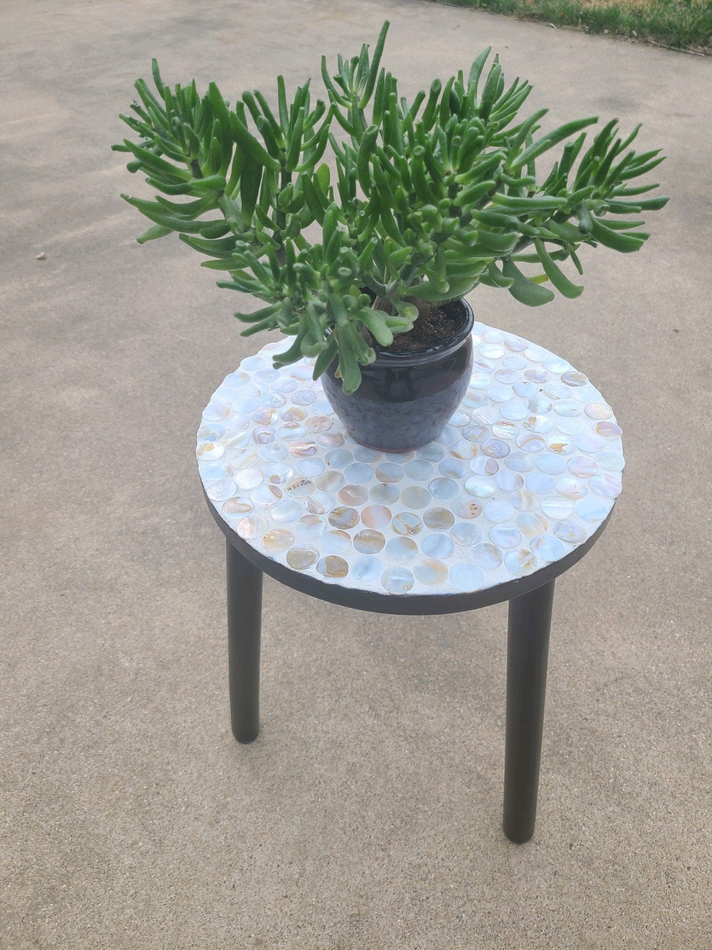 Plant Lovers Tall Standing Plant Stand / Free Shipping