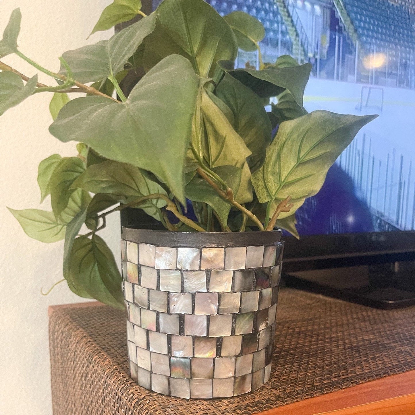 Plant Lovers Mother Of Pearl Planter
