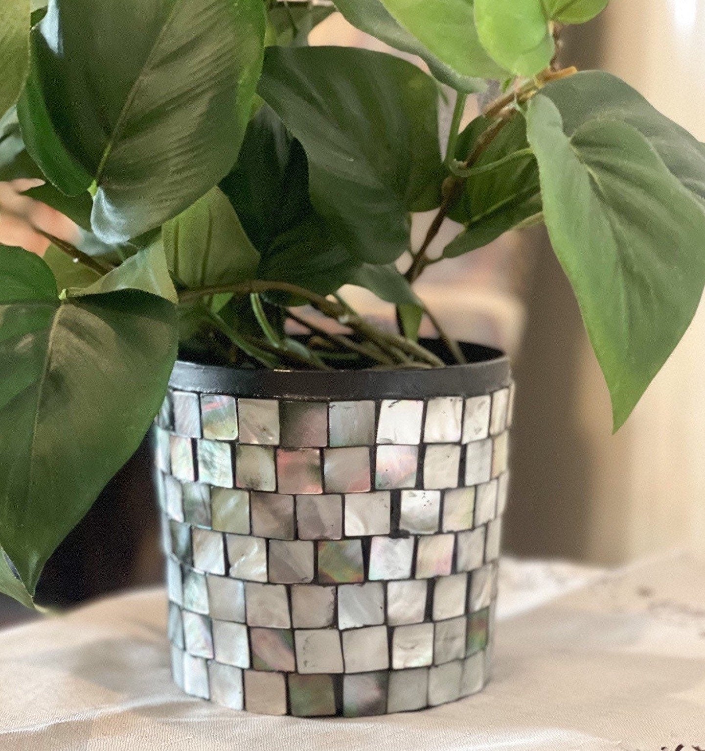 Plant Lovers Mother Of Pearl Planter
