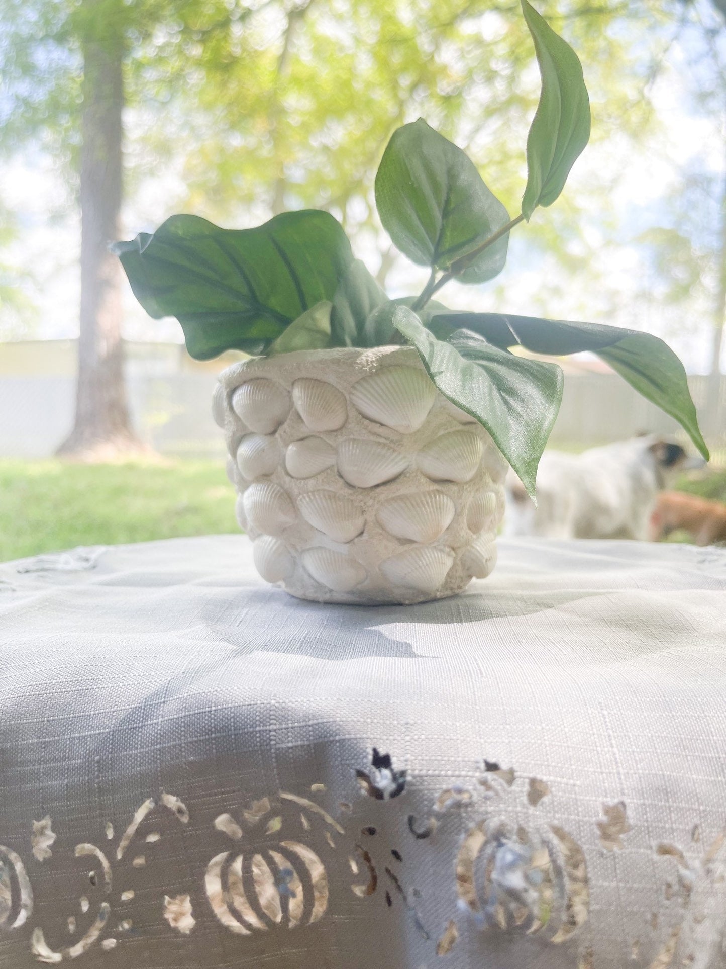 Small Seashell Planter