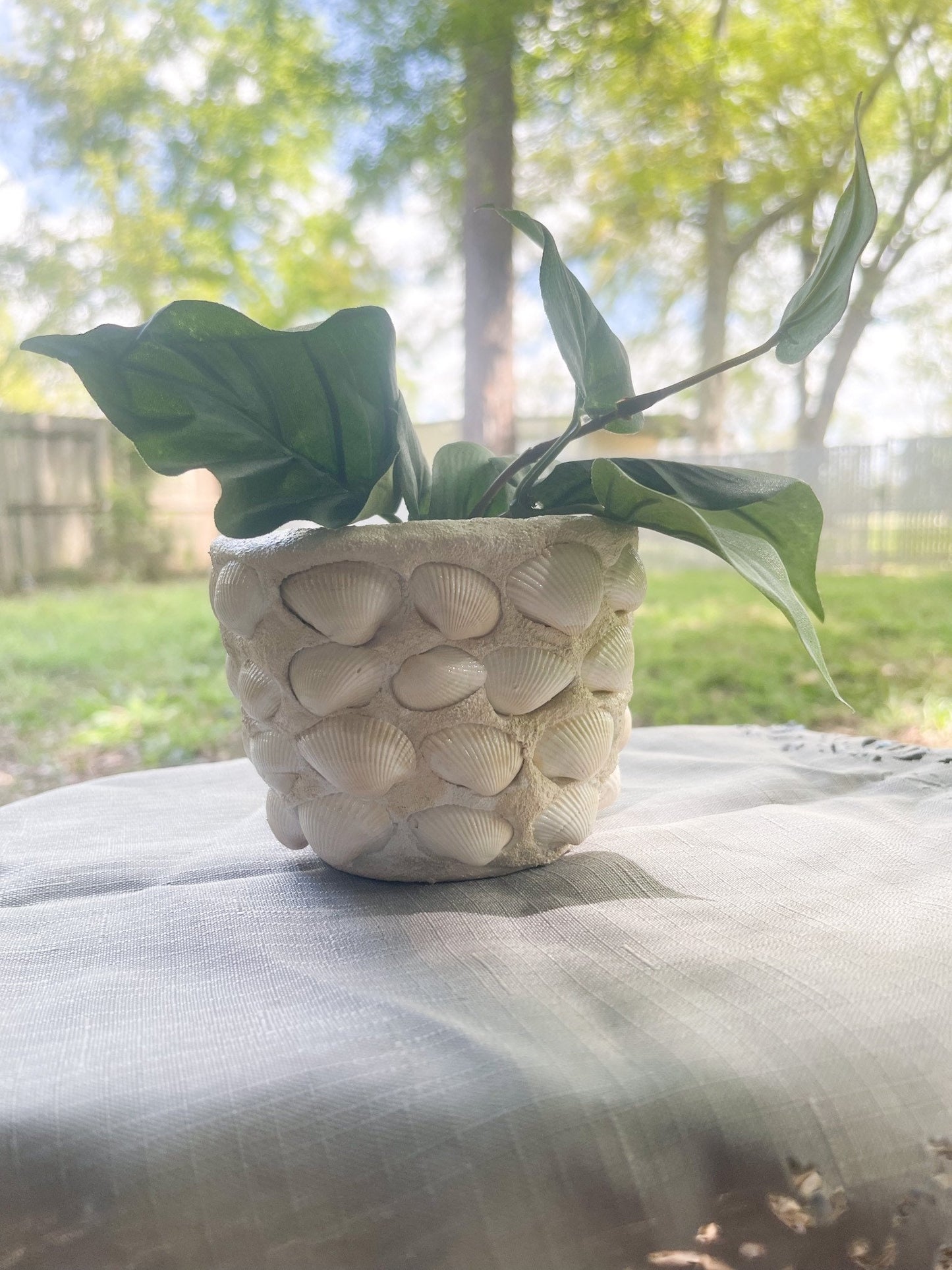 Small Seashell Planter