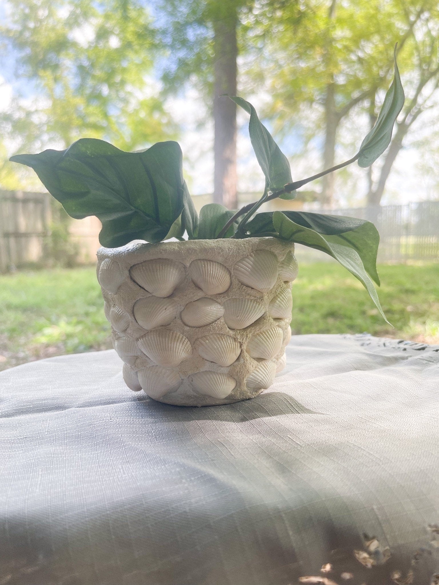 Small Seashell Planter