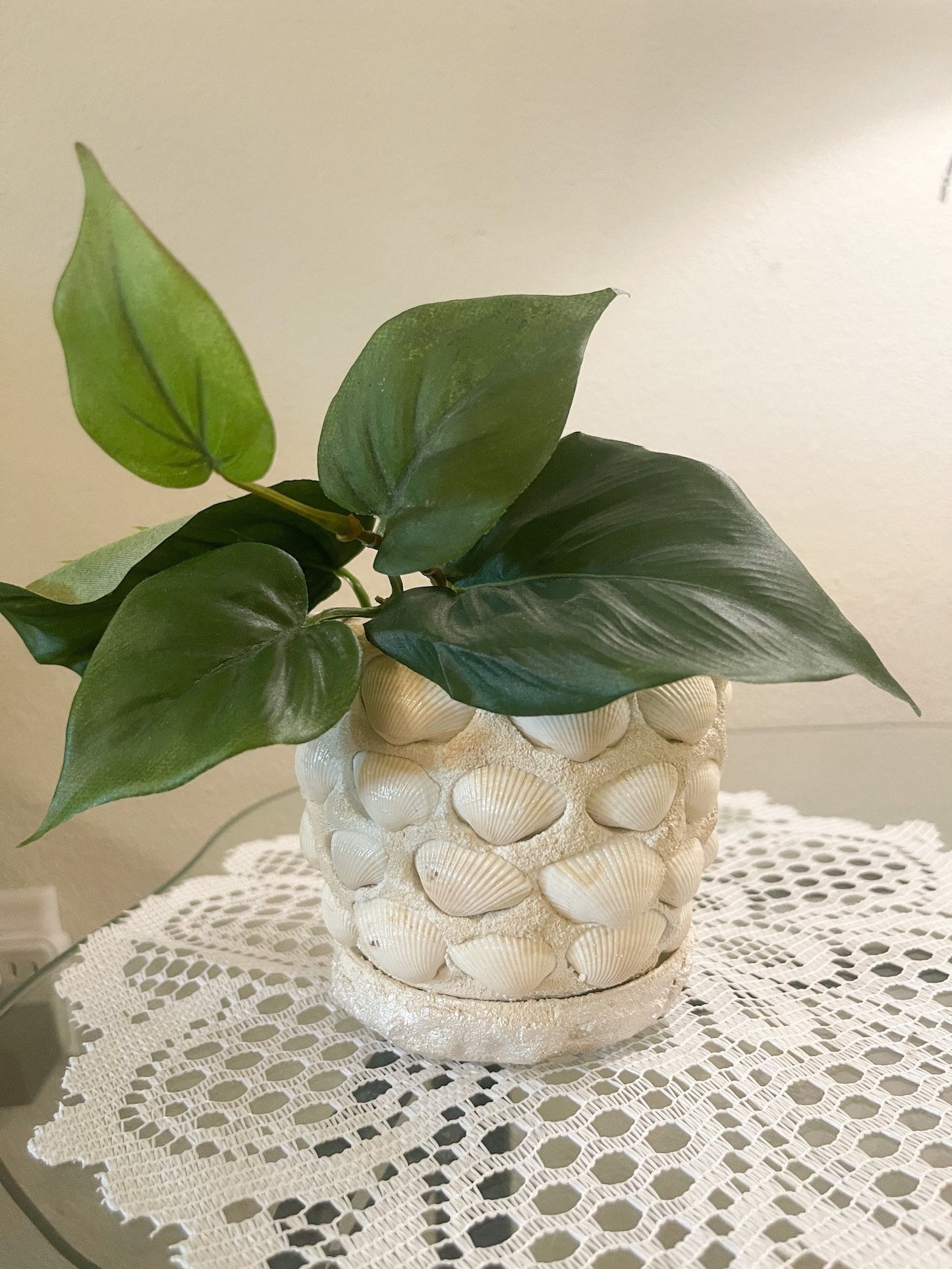 Small Seashell Planter