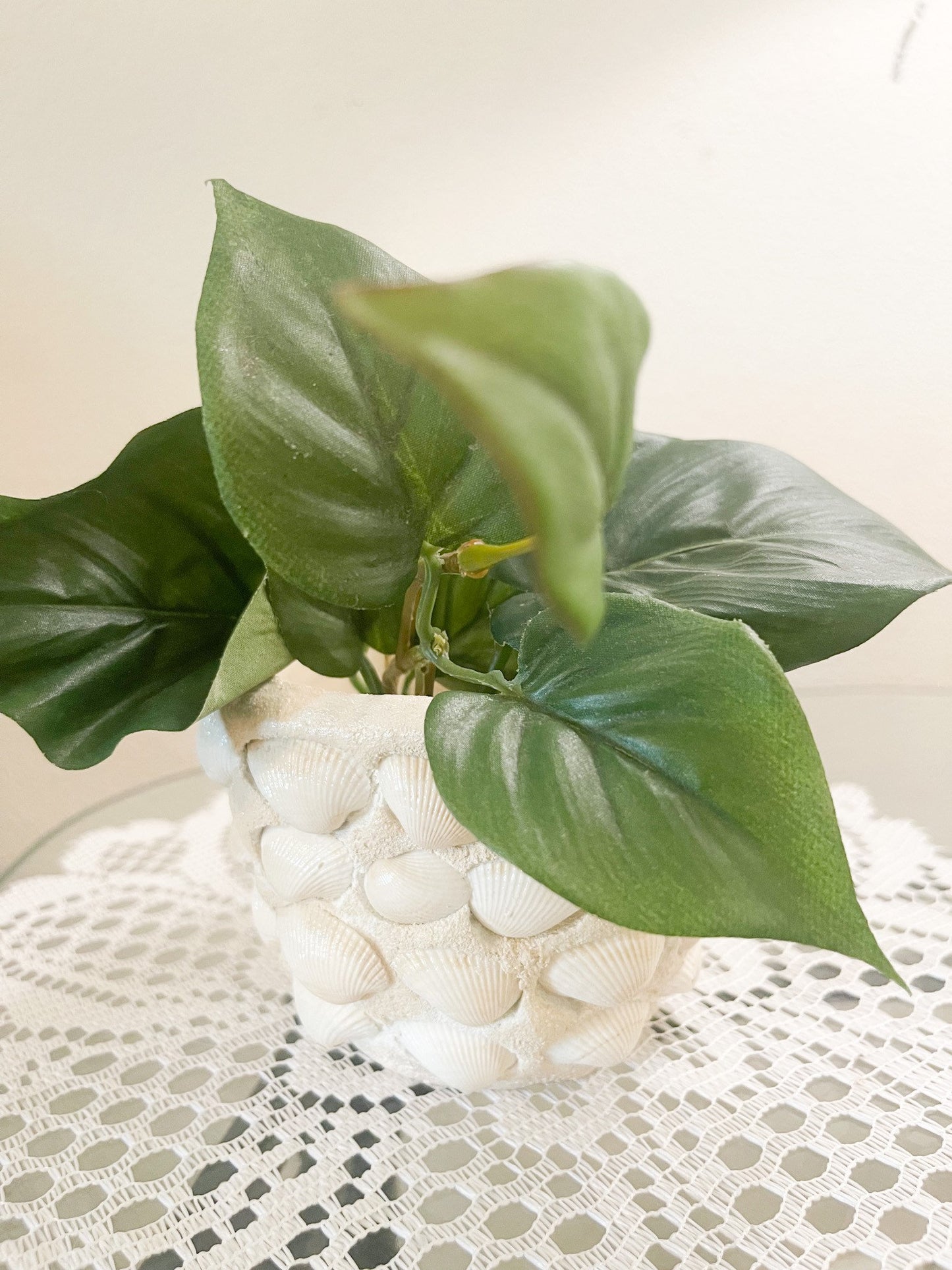 Small Seashell Planter