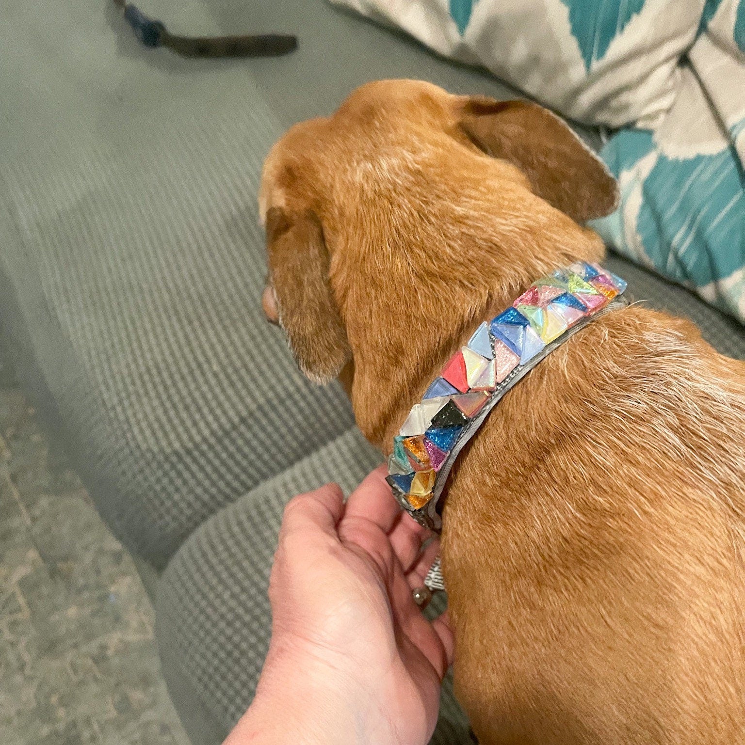 Handmade One of a Kind Dog Collar