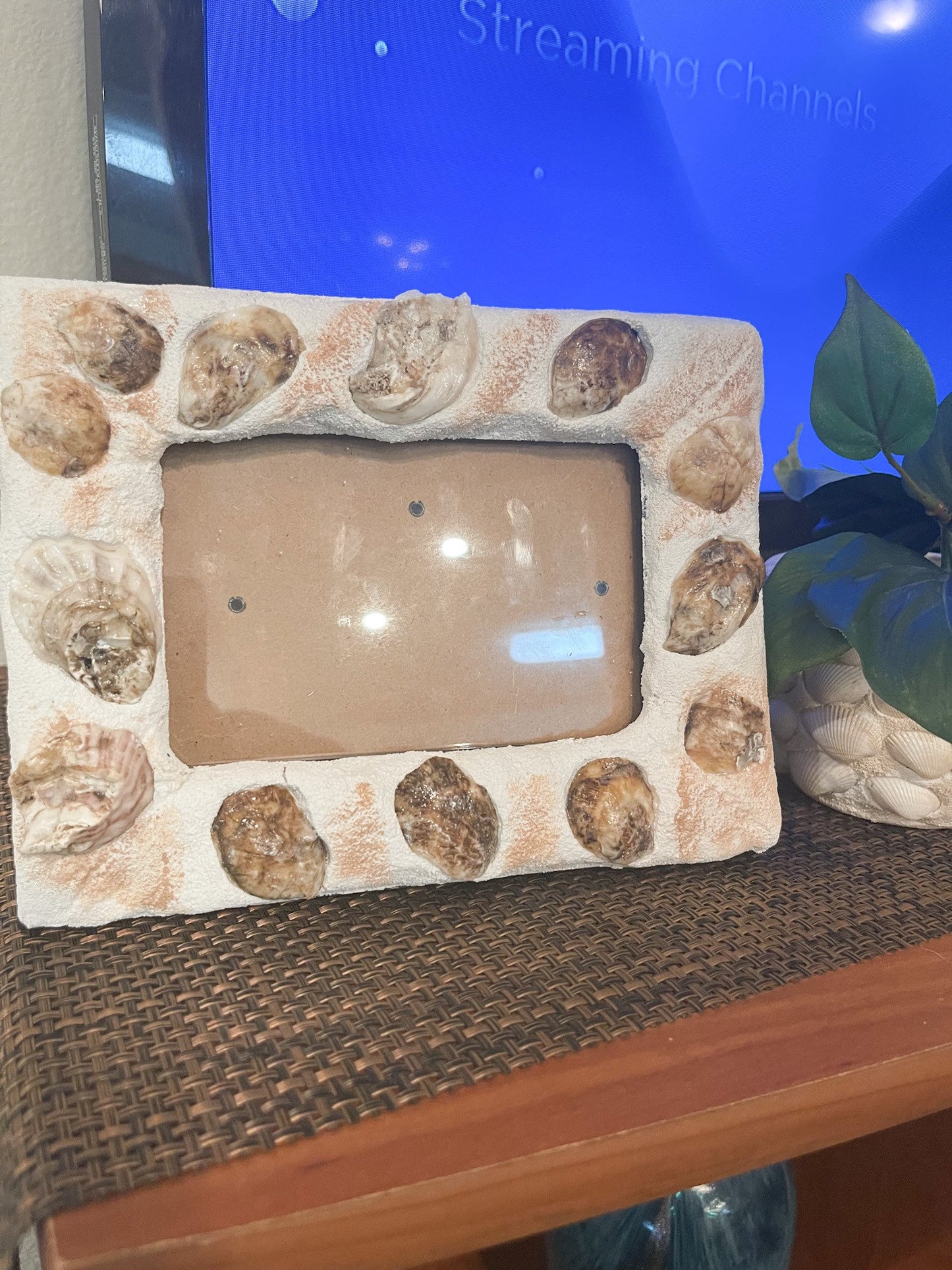 Oyster Shell Frame/FREE SHIPPING