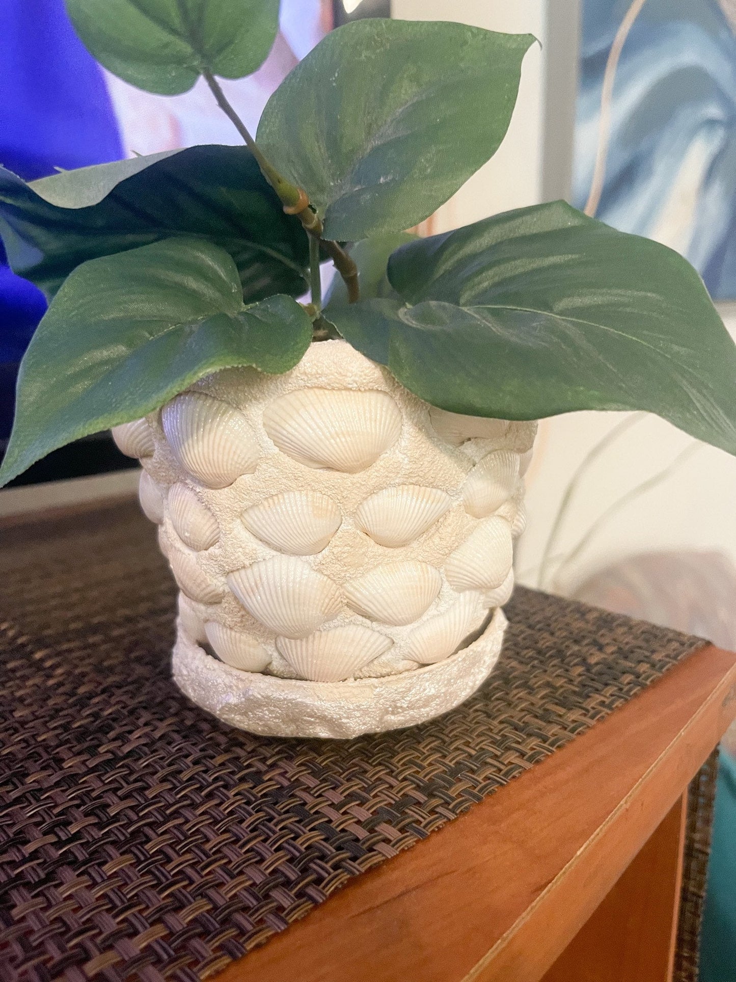 Small Seashell Planter