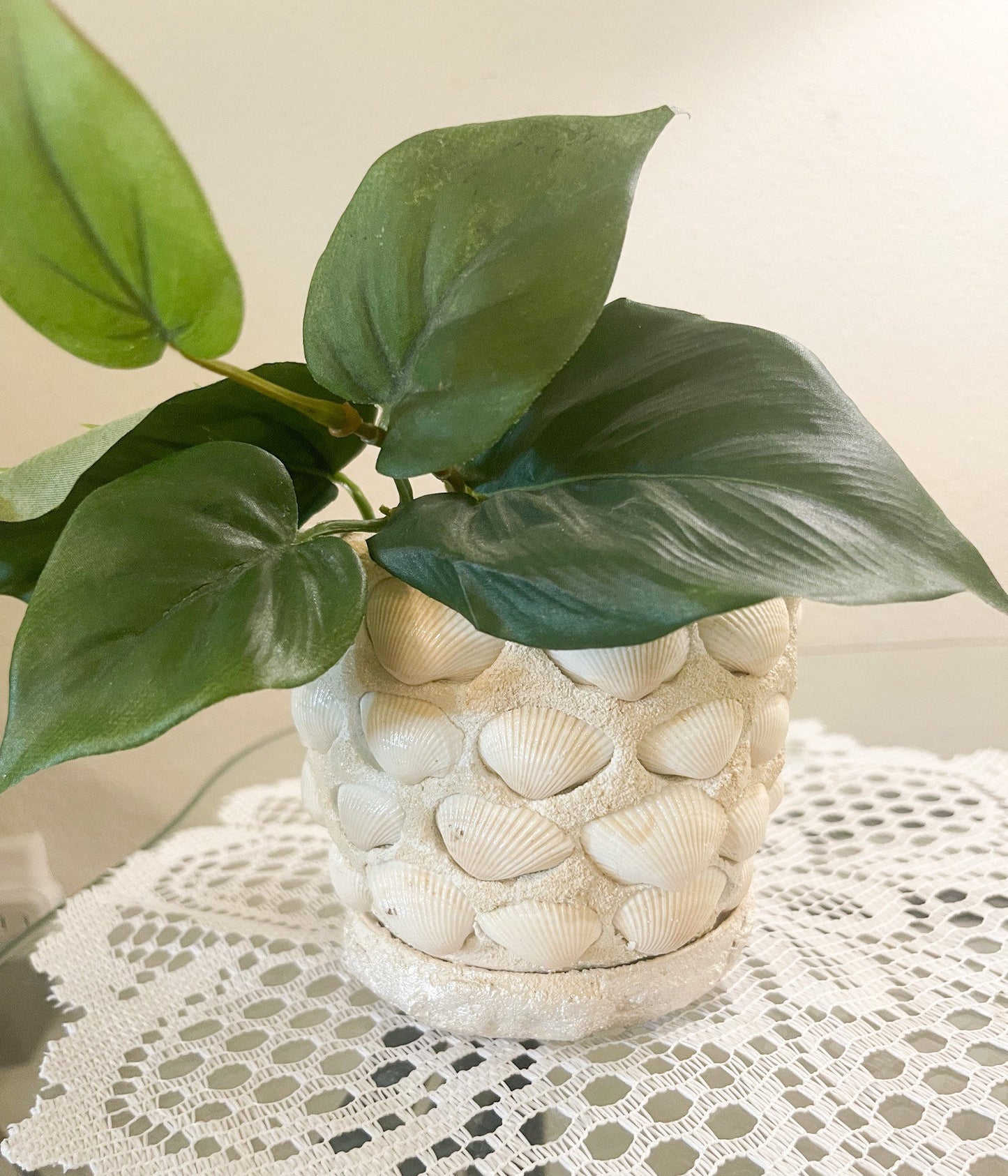 Small Seashell Planter