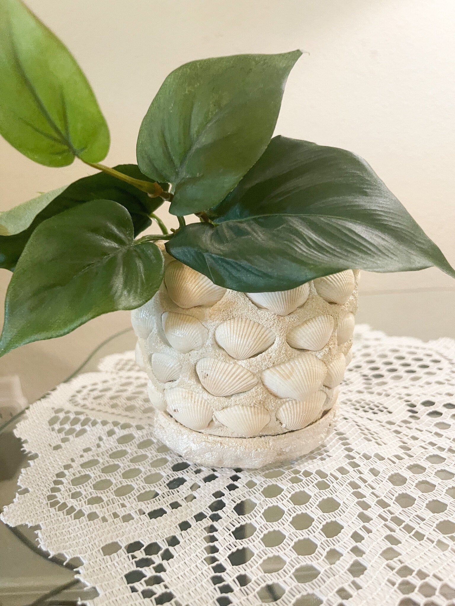 Small Seashell Planter
