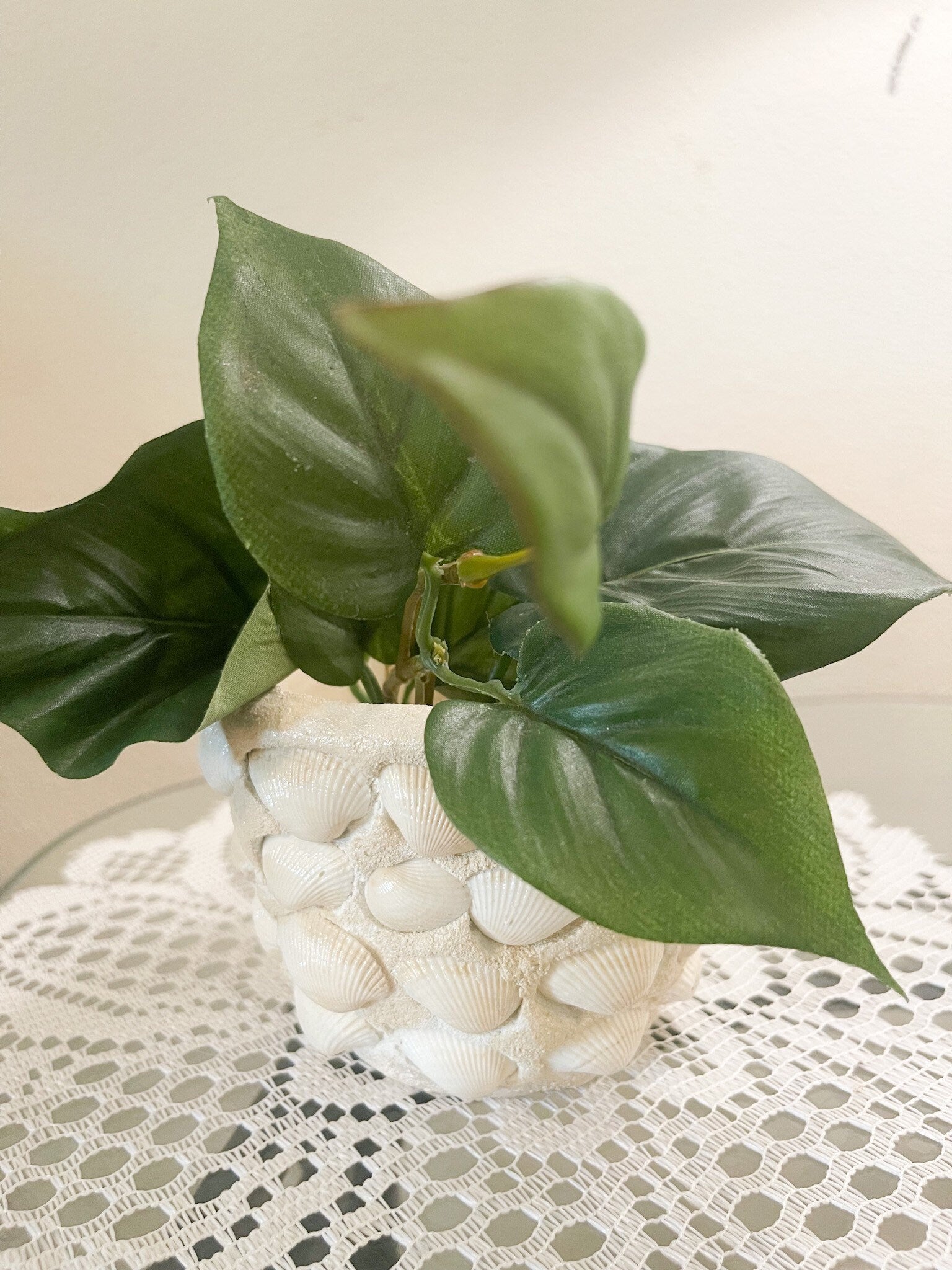 Small Seashell Planter