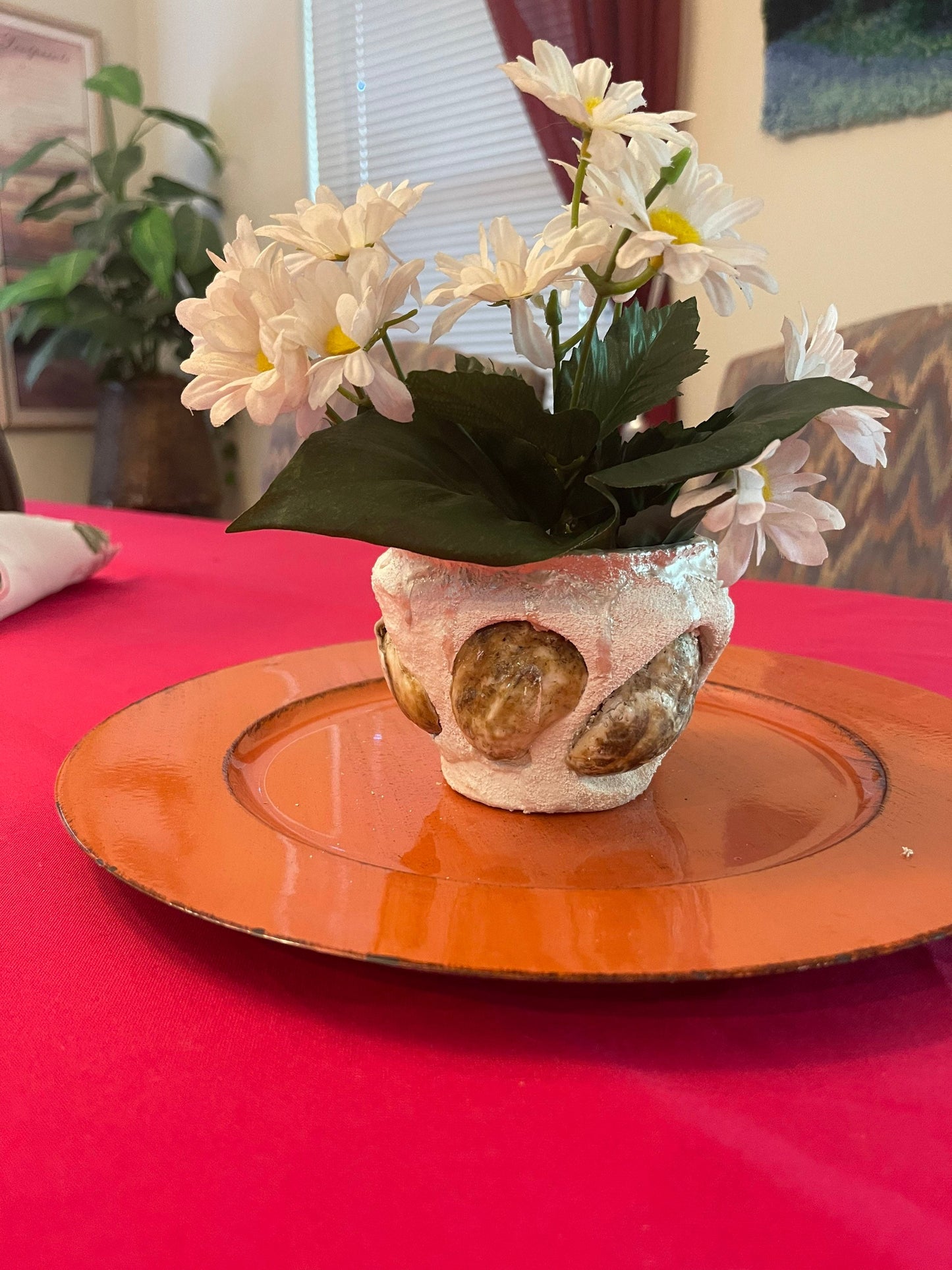 Small Oyster Shell Flower Pot/Planter / Free Shipping