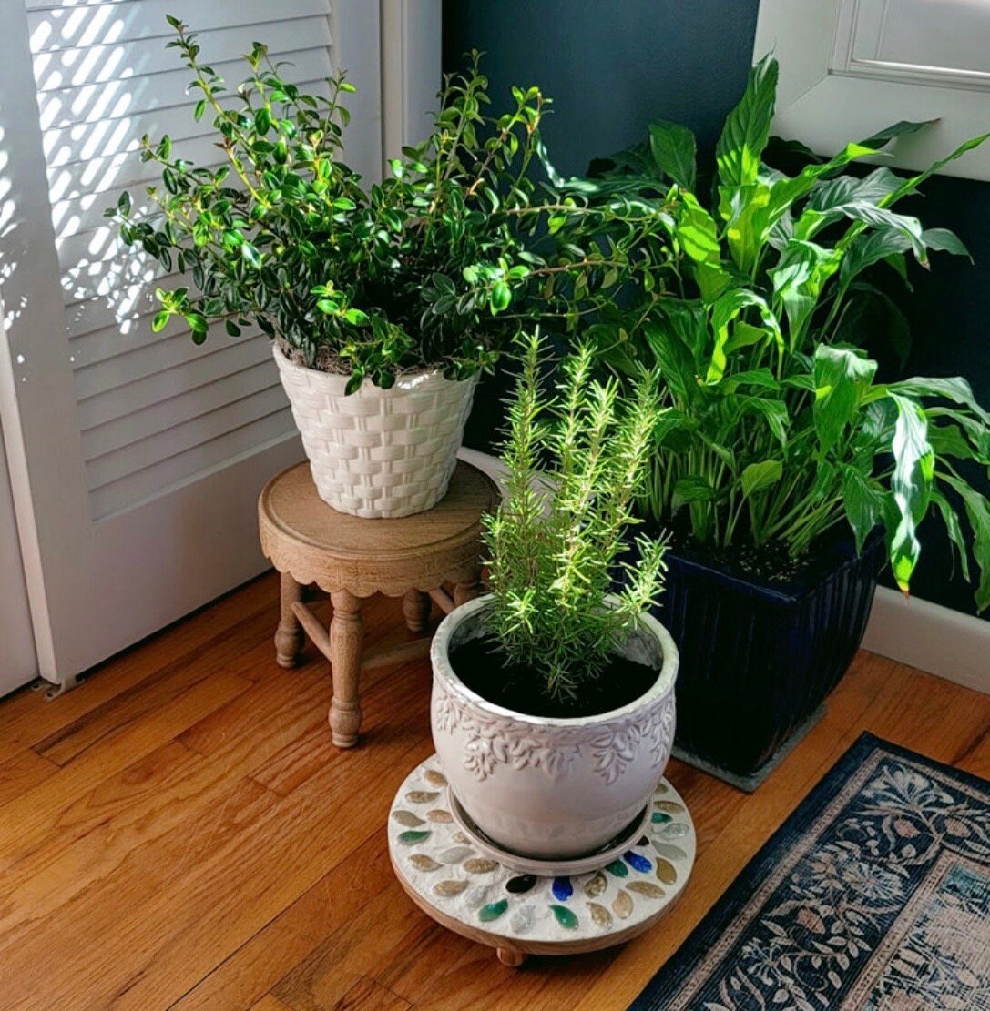 12” Plant Stand /Earth tones/FREE SHIPPING