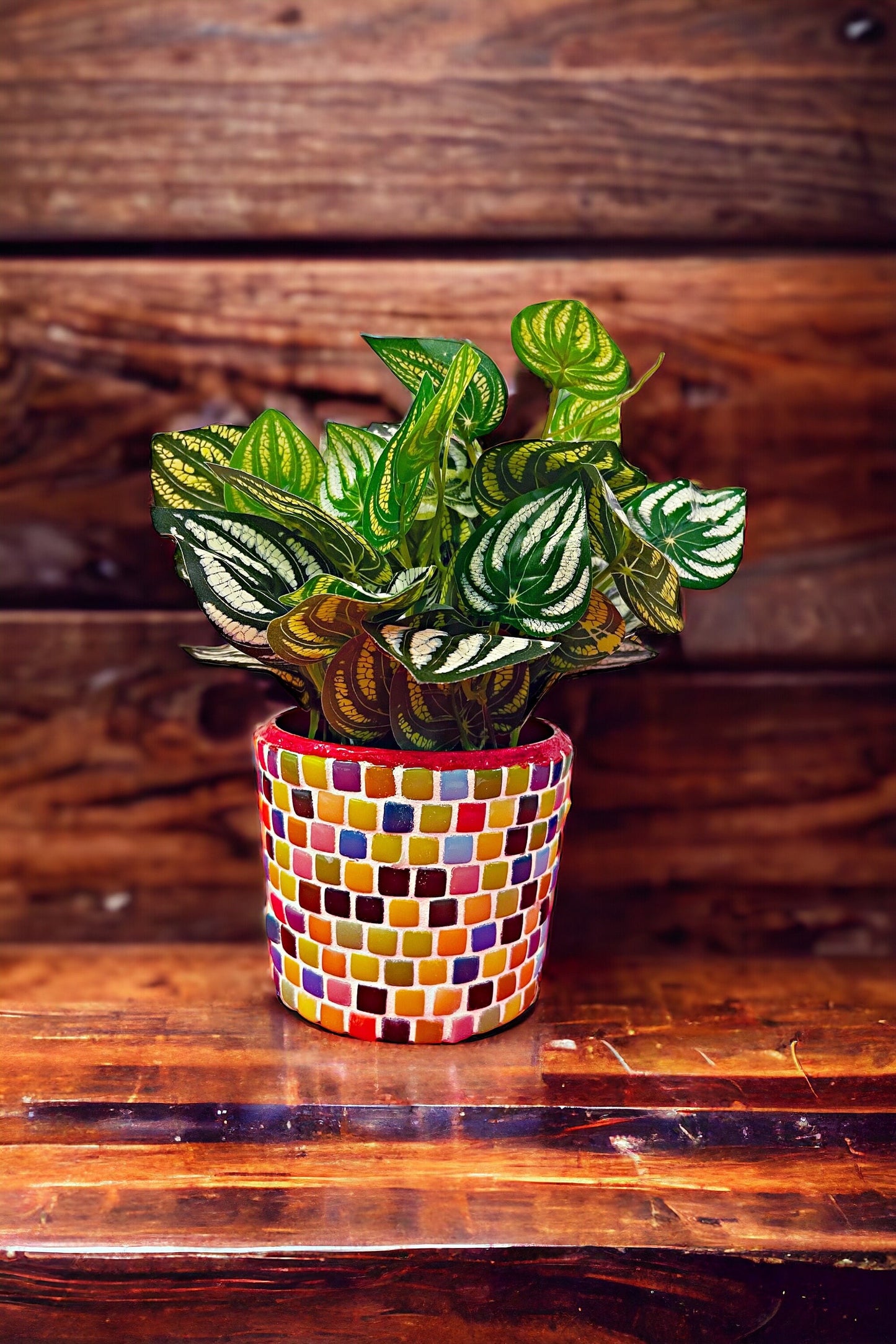 Bright Multi-Colored Planter / Free Shipping