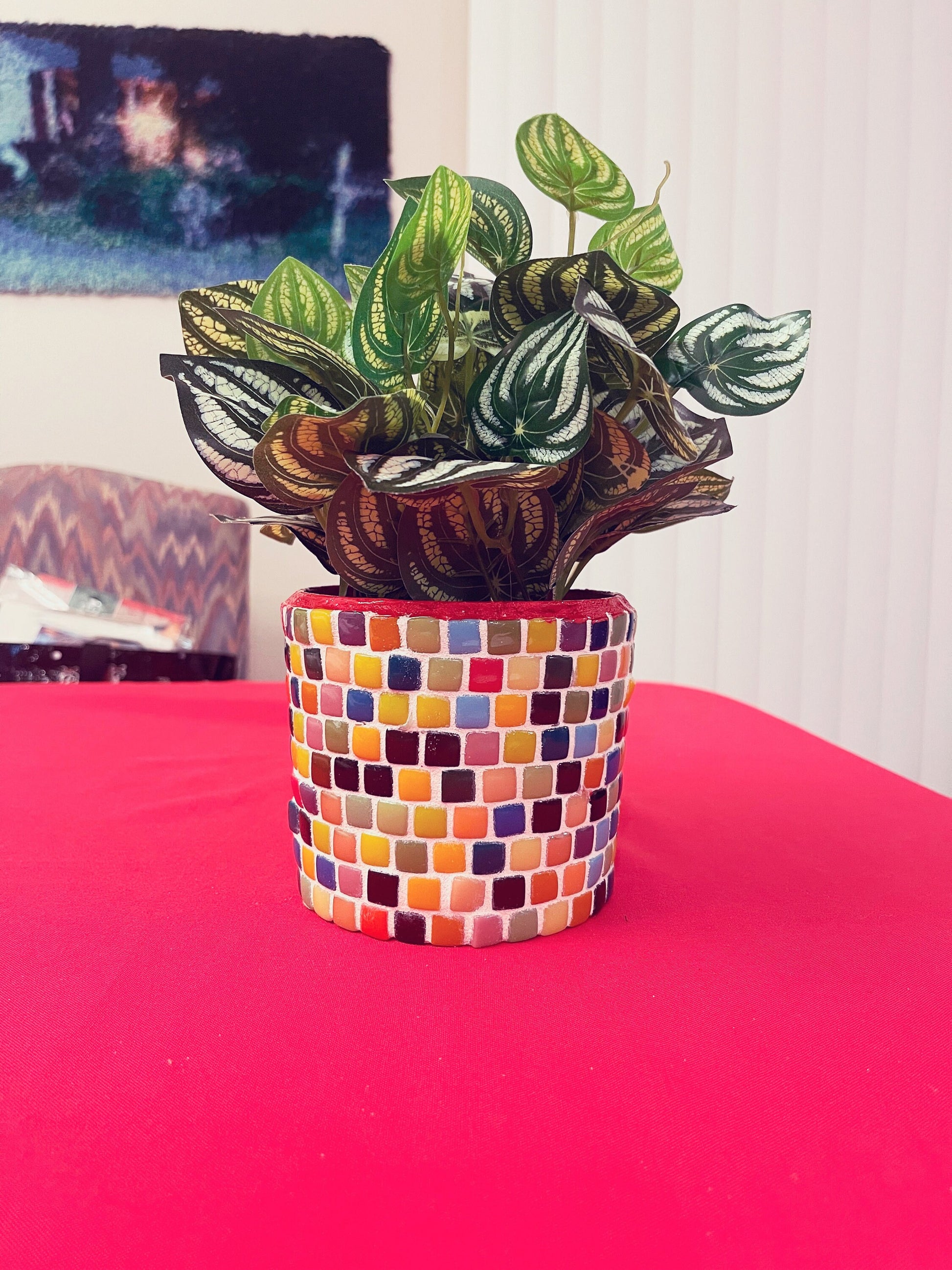 Bright Multi-Colored Planter / Free Shipping