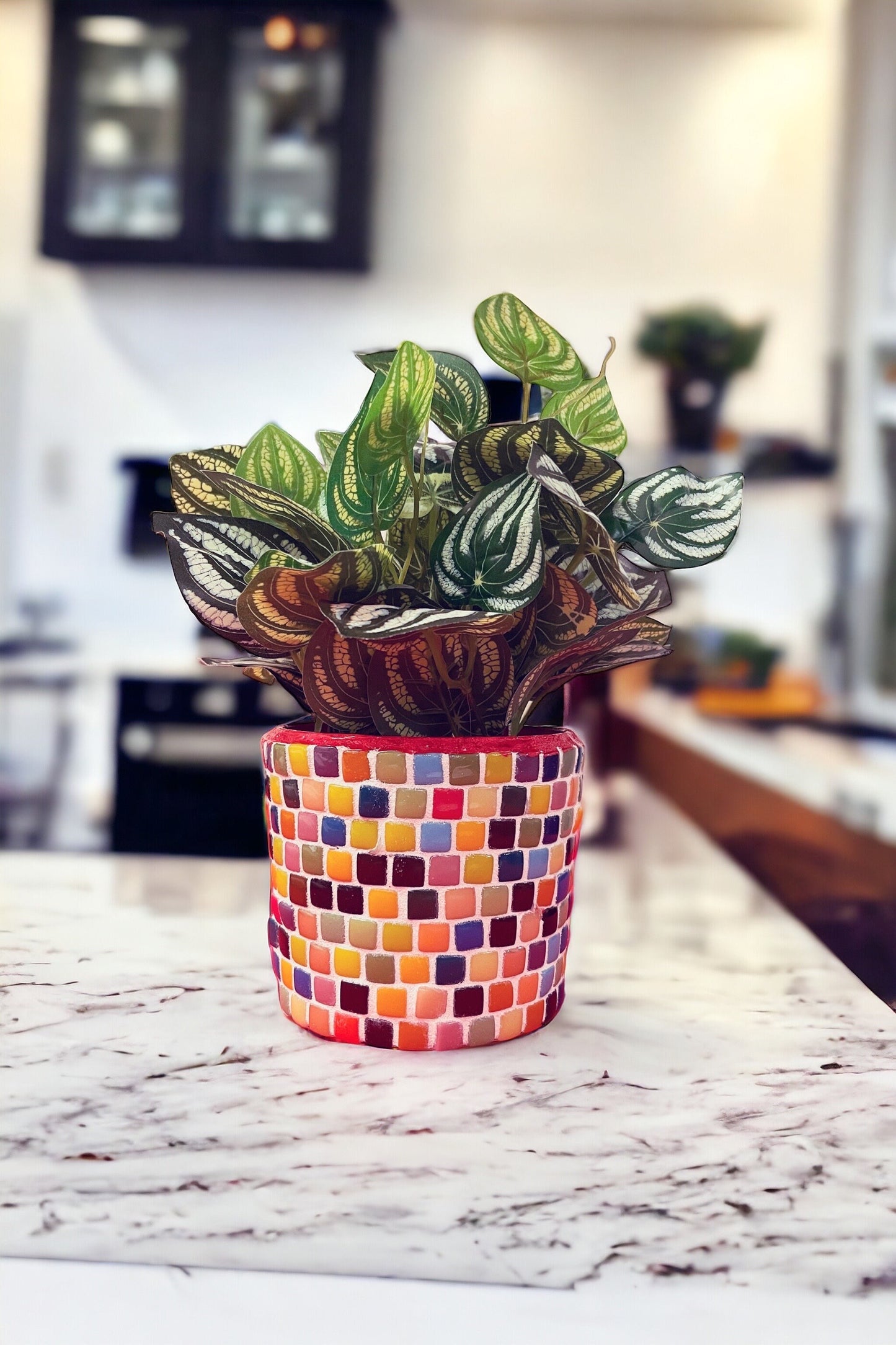 Bright Multi-Colored Planter / Free Shipping