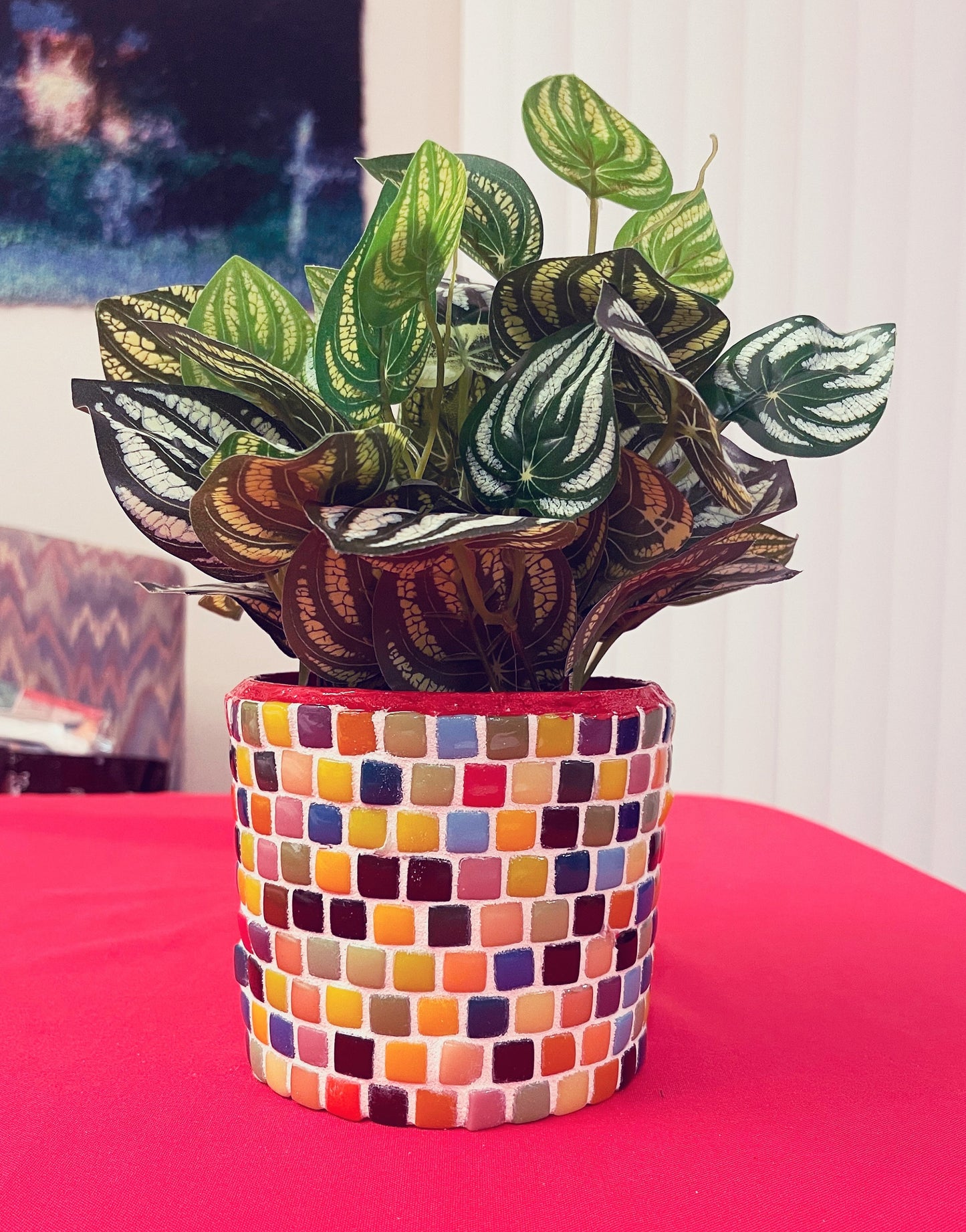 Bright Multi-Colored Planter / Free Shipping