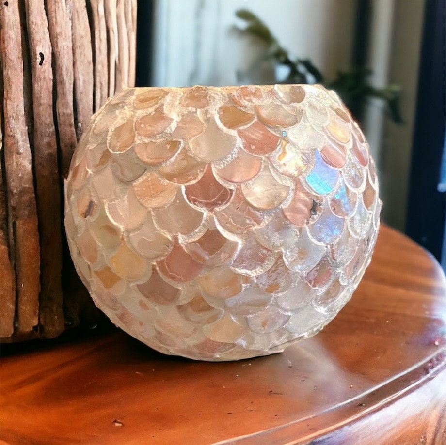 Large Mother of Pearl Bowl Planter or Vase