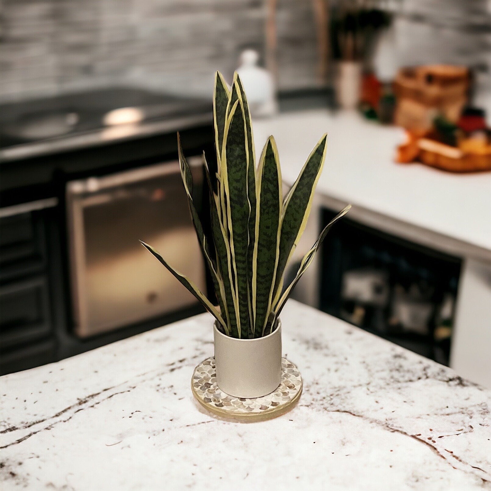 Large Light Wood Handmade Plant Stand/ FREE SHIPPING