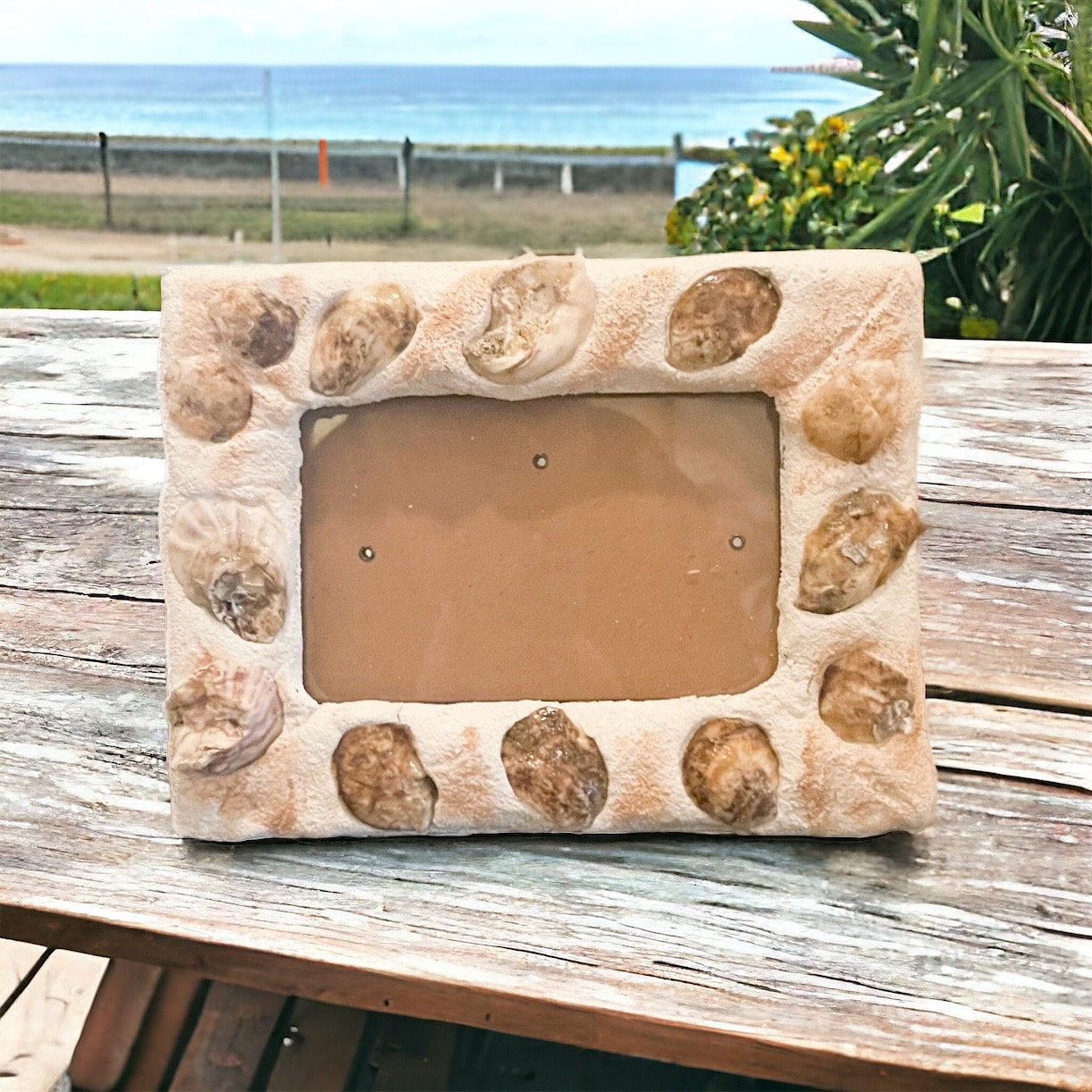 Oyster Shell Frame/FREE SHIPPING
