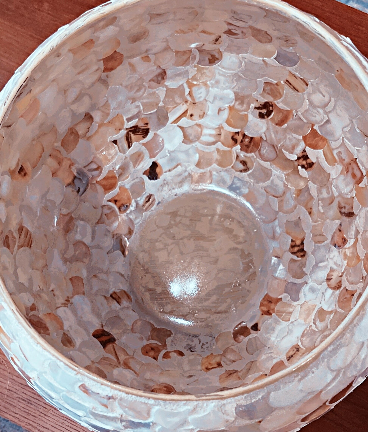 12” Mother of Pearl Bowl Planter or Vase