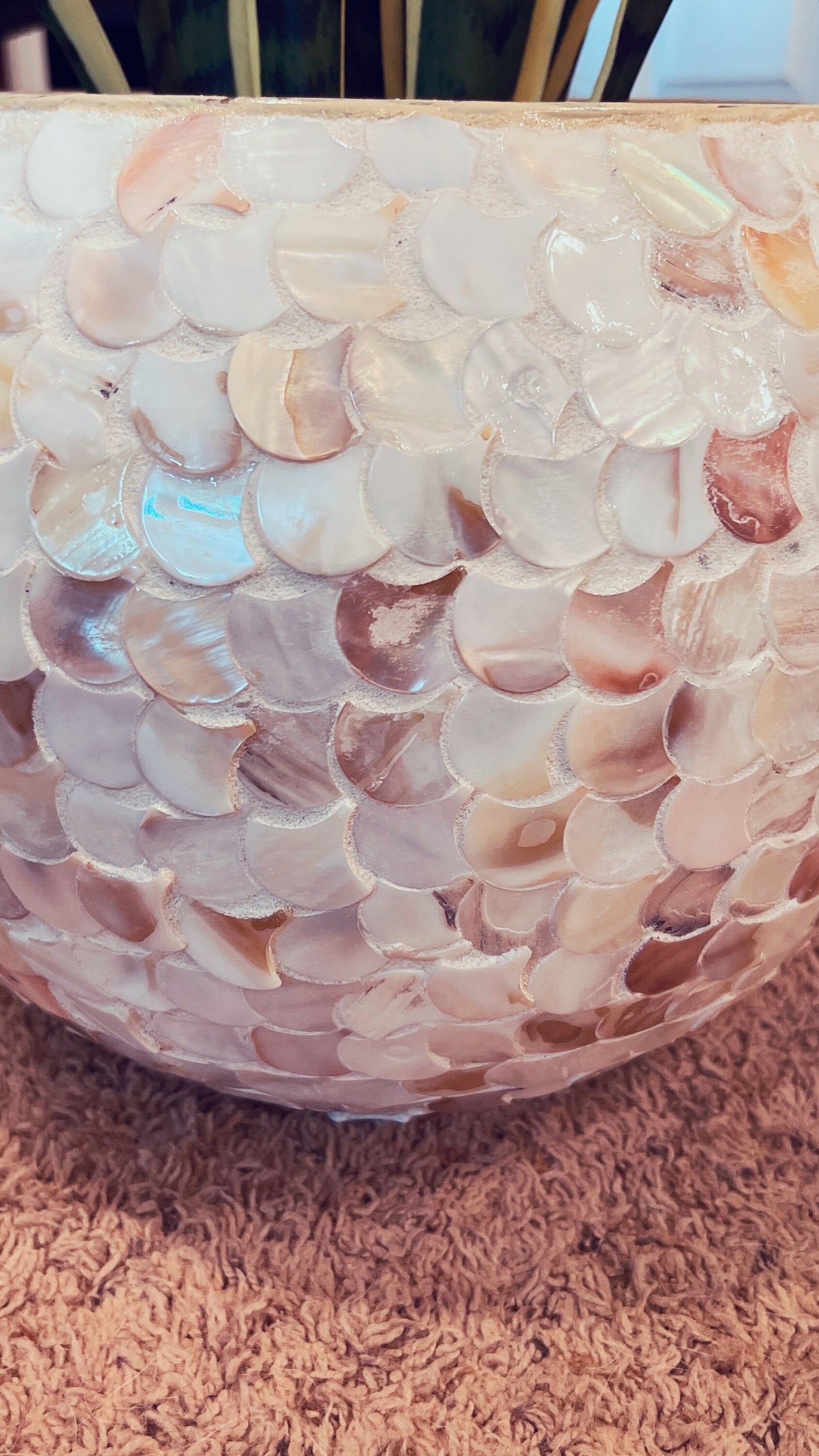 12” Mother of Pearl Bowl Planter or Vase