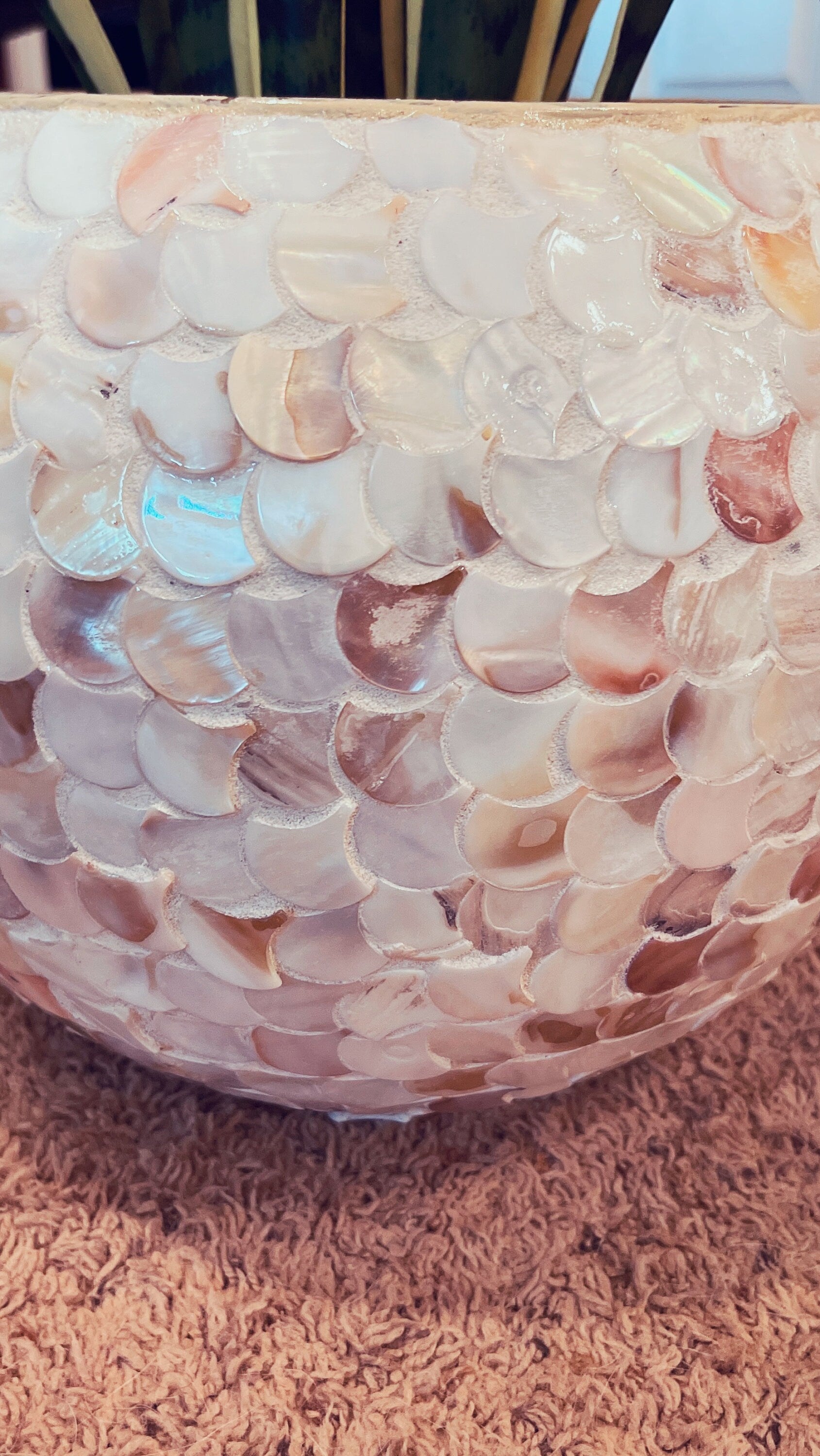 12” Mother of Pearl Bowl Planter or Vase