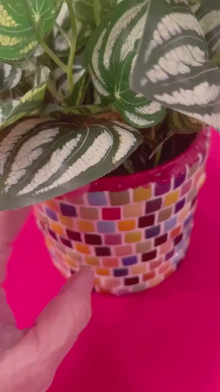 Bright Multi-Colored Planter / Free Shipping