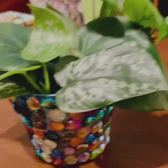 Multicolored Cabochon Planter- Flower Pot- indoor Garden- Plant Lovers.